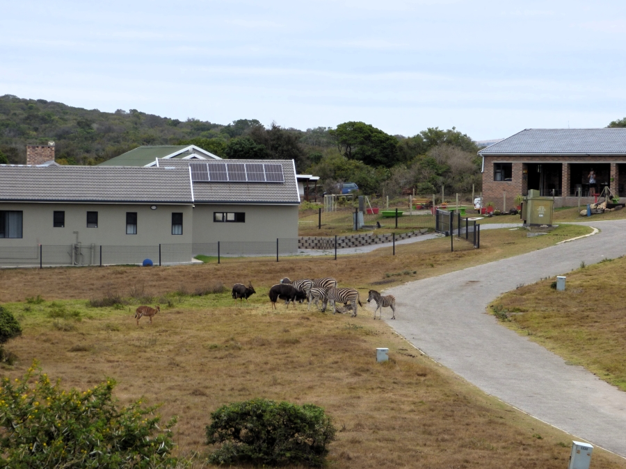 3 Bedroom Property for Sale in Boesmansriviermond Eastern Cape